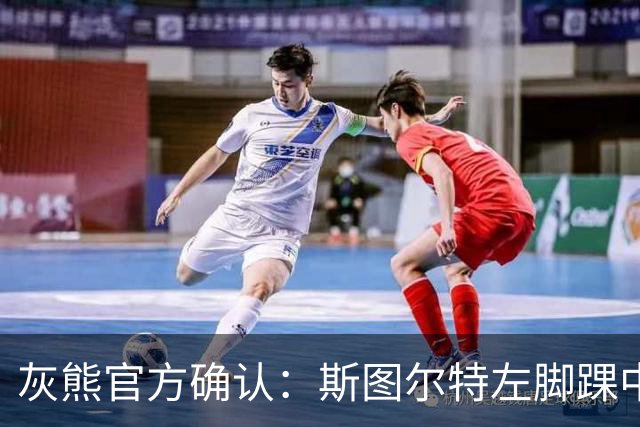 灰熊官方确认：斯图尔特左脚踝中度扭伤，需两周后再评估